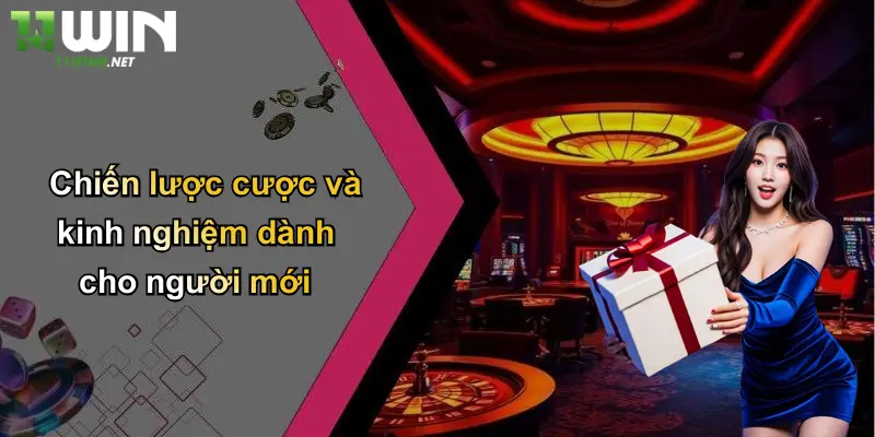 Chiến lược cược và kinh nghiệm dành cho người mới
