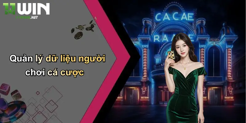 Quản lý dữ liệu người chơi cá cược