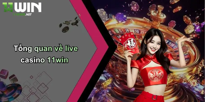 Tổng quan về live casino 11win